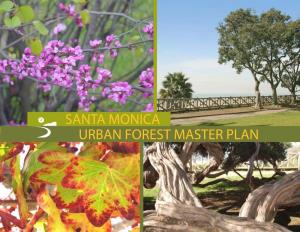 Urban Forest Master Plan Table of Contents