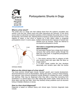 Portosystemic Shunts in Dogs