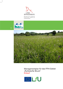 Managementplan Für Das FFH-Gebiet „Ruhlsdorfer Bruch“ Entwurf