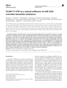 CCAR1 5′ UTR As a Natural Mirancer of Mir-1254 Overrides Tamoxifen Resistance