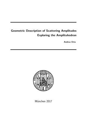 Geometric Description of Scattering Amplitudes: Exploring The