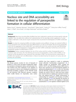 Nucleus Size and DNA Accessibility Are Linked to the Regulation Of