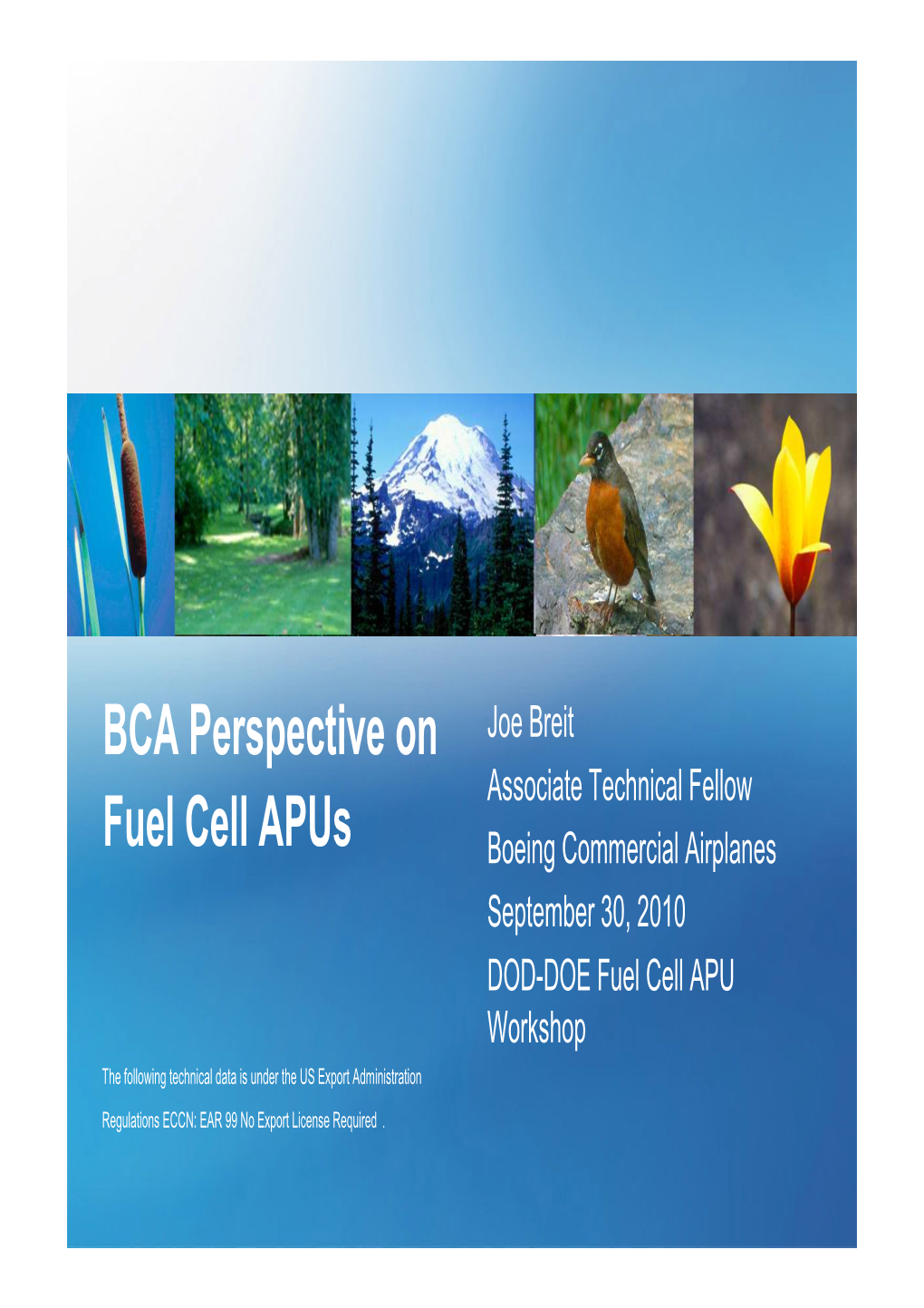 BCA Perspective on Fuel Cell Apus