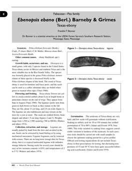 Ebenopsis Ebano (Berl.) Barneby & Grimes Texas-Ebony