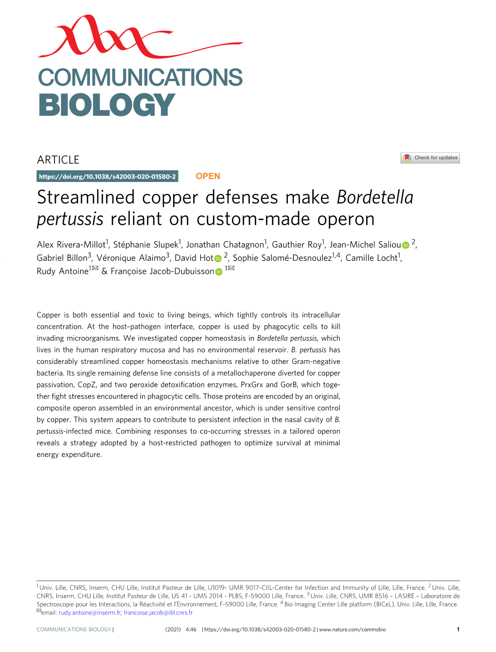 Streamlined Copper Defenses Make Bordetella Pertussis Reliant on Custom-Made Operon