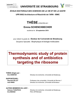 Thermodynamic Study of Protein Synthesis and of Antibiotics Targeting the Ribosome