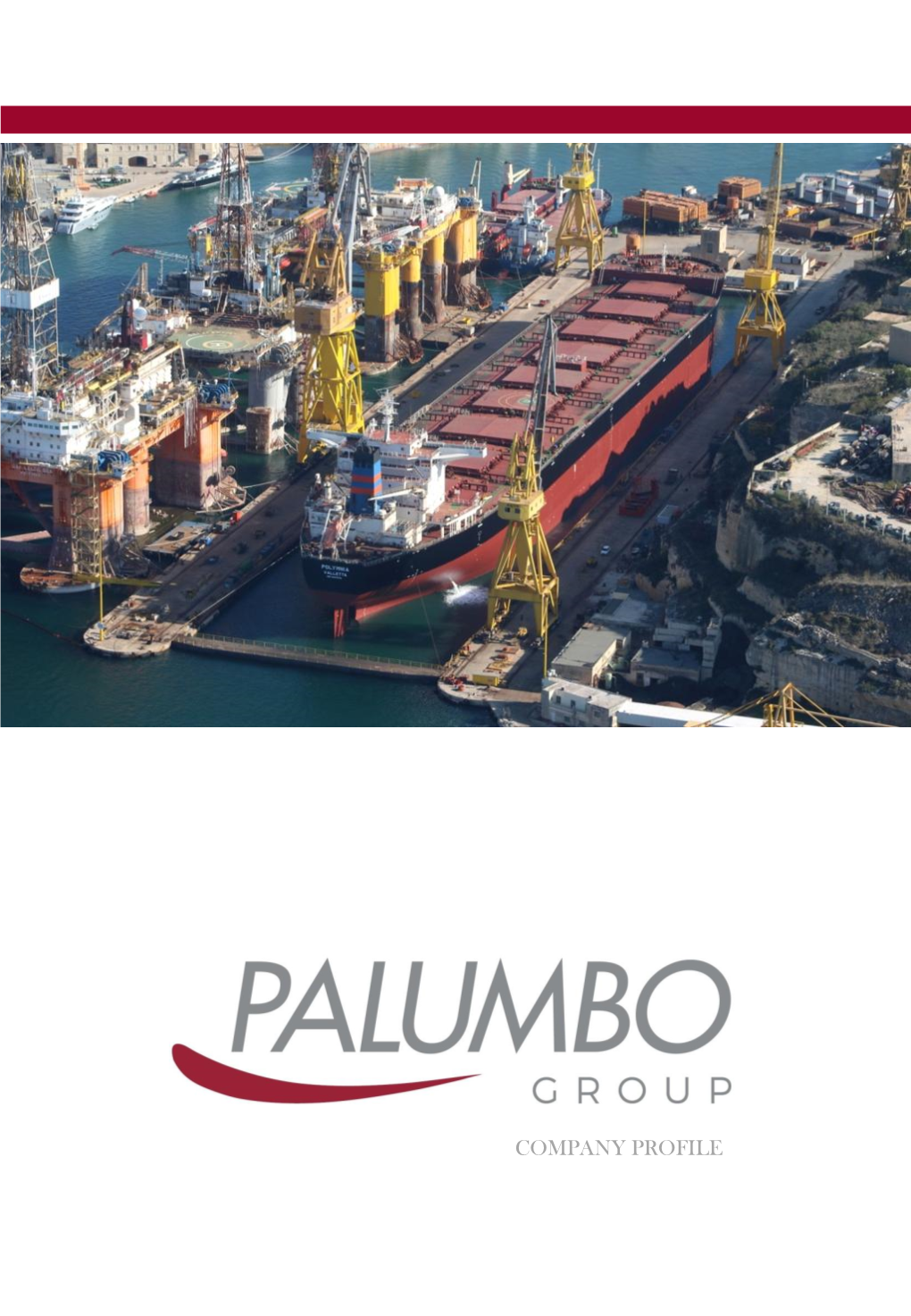 View of Dock N.6 and Parlatorio Wharf at Palumbo Malta Shipyard | FRSU Toscana in Dock N.6