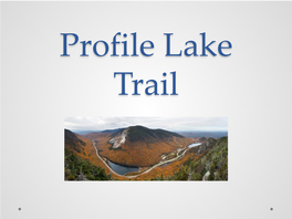 Profile Lake Trail Old Man Legacy Fund