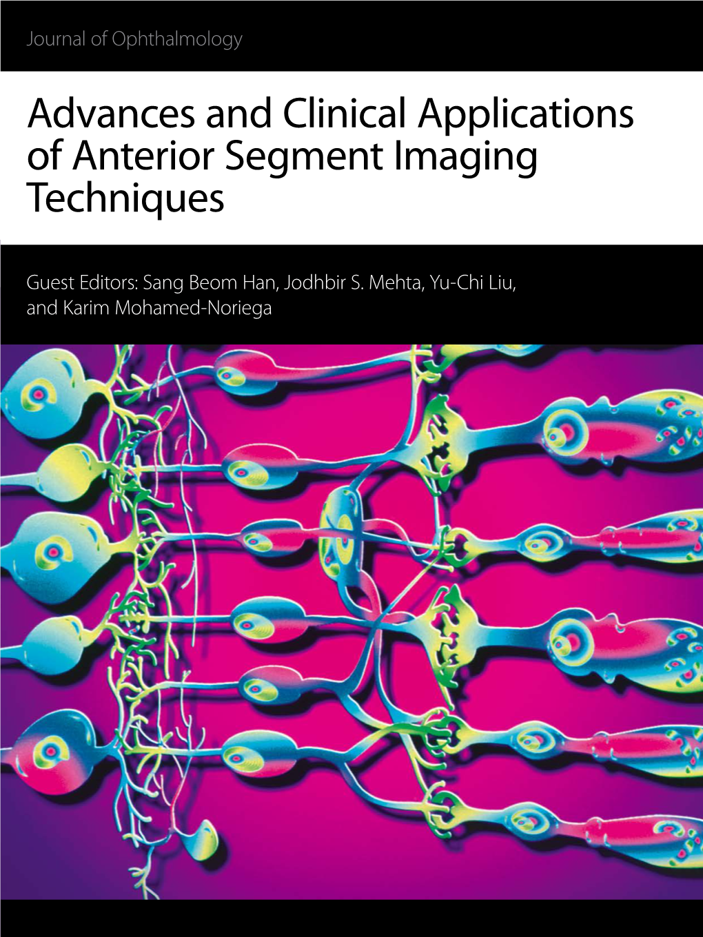 Advances and Clinical Applications of Anterior Segment Imaging Techniques