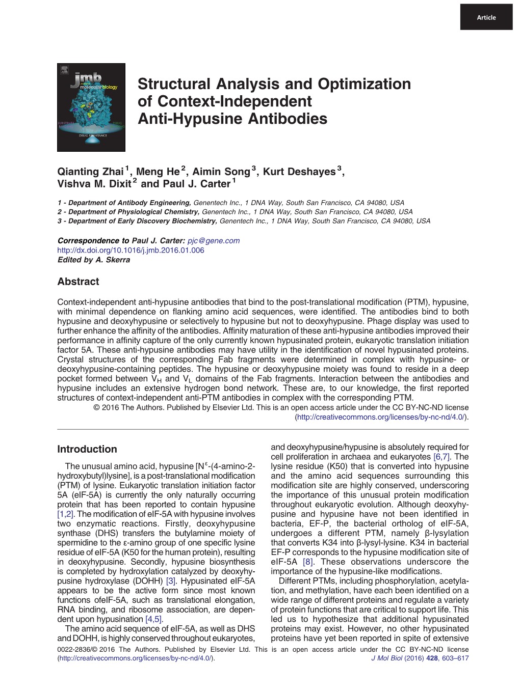 Structural Analysis and Optimization of Context-Independent Anti-Hypusine Antibodies