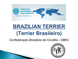 BRAZILIAN TERRIER (Terrier Brasileiro) Confederação Brasileira De Cinofilia - CBKC BRAZILIAN TERRIER (Terrier Brasileiro)