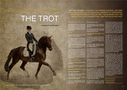 The Art of Classical Dressage Riding: the Trot