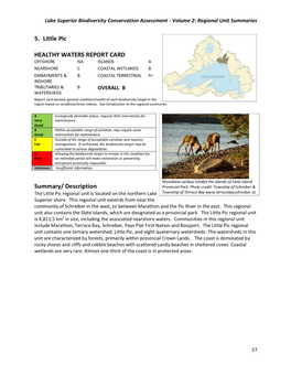 5-Little Pic BCA Regional Unit Background Chapter