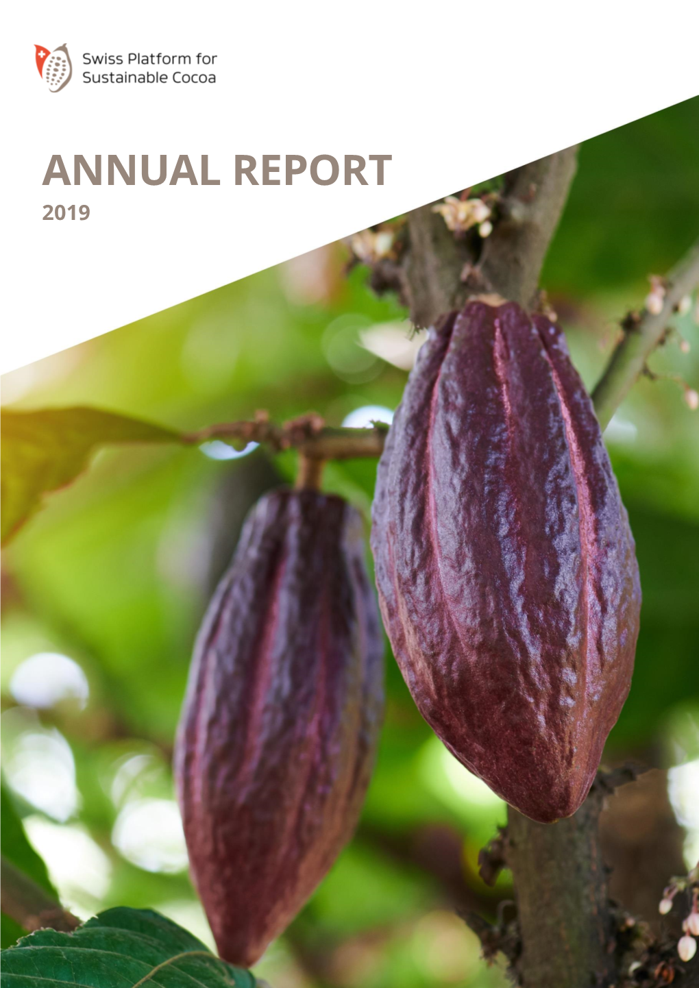 Annual Report 2019