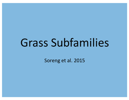Grass Subfamilies I