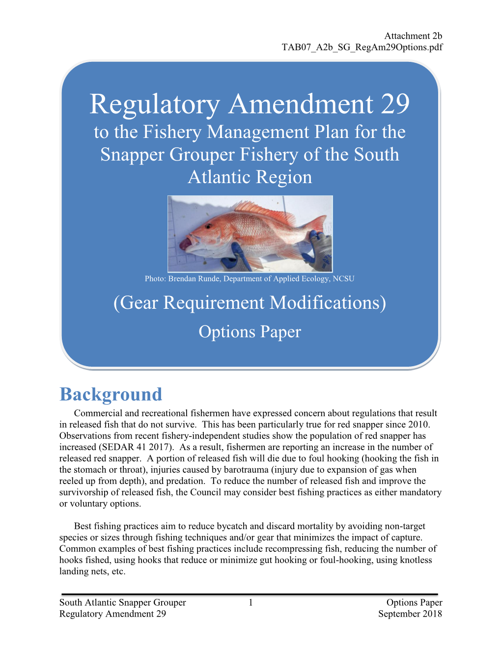Regulatory Amendment 29 to the Fishery Management Plan for the Snapper Grouper Fishery of the South Atlantic Region