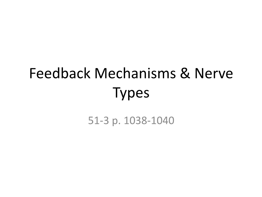 Feedback Mechanisms and Types of Neurons