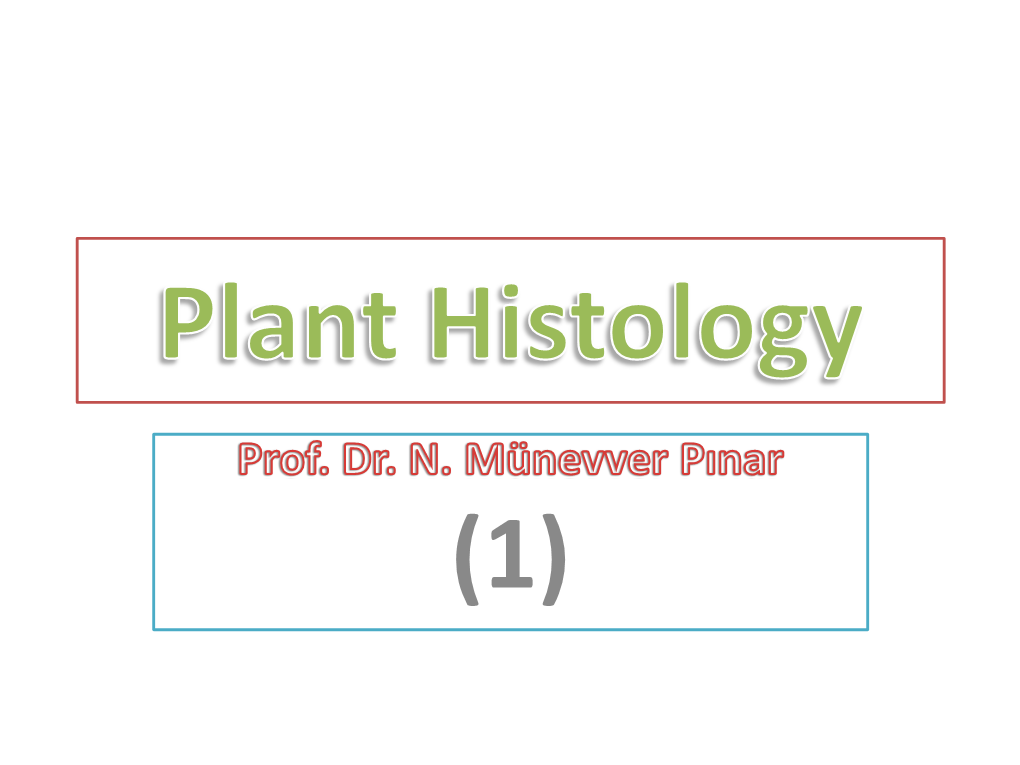 Plant Histology
