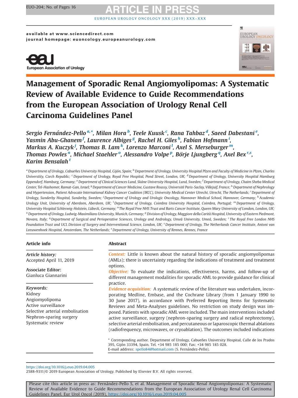 Management of Sporadic Renal Angiomyolipomas: a Systematic Review of Available Evidence to Guide Recommendations from the Europe