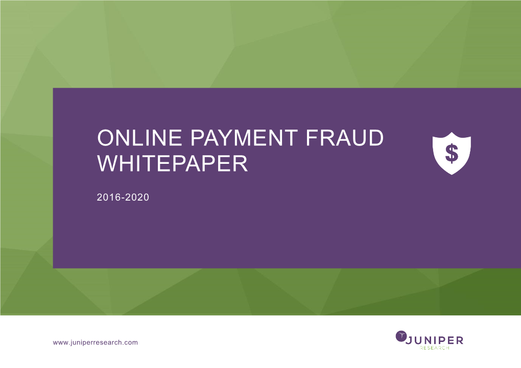 Online Payment Fraud Whitepaper 2016-2020 1