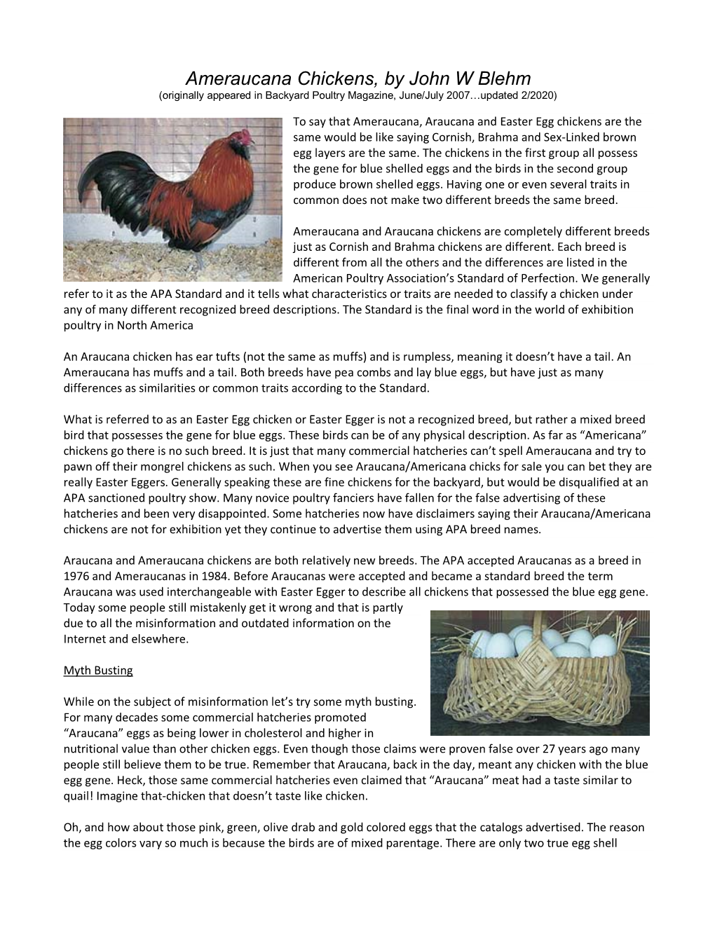Ameraucana Chickens, by John W Blehm (Originally Appeared in Backyard Poultry Magazine, June/July 2007…Updated 2/2020)