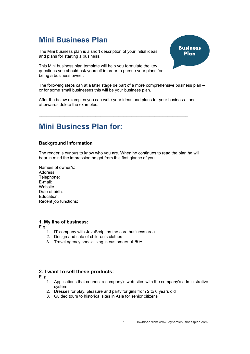 Mini Business Plan