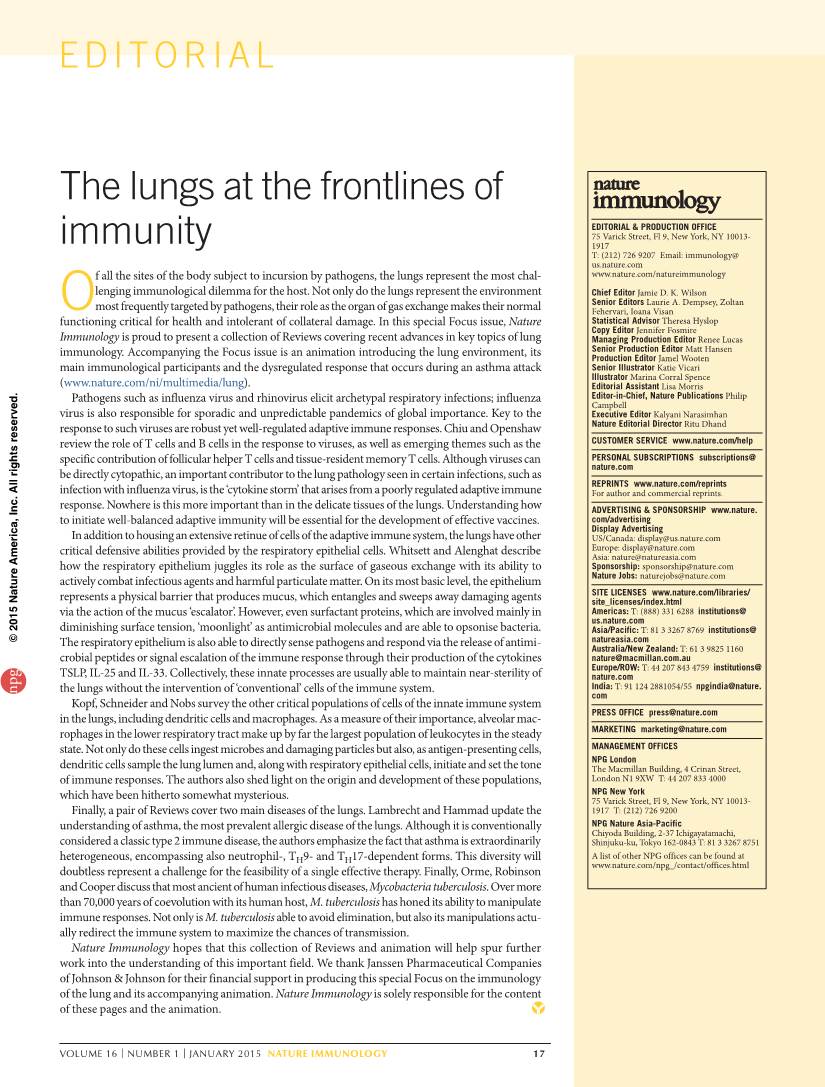 The Lungs at the Frontlines of Immunity