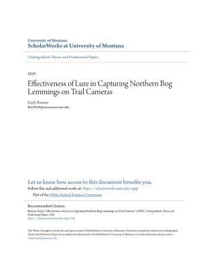 Effectiveness of Lure in Capturing Northern Bog Lemmings on Trail Cameras Keely Benson Kb239520@Umconnect.Umt.Edu