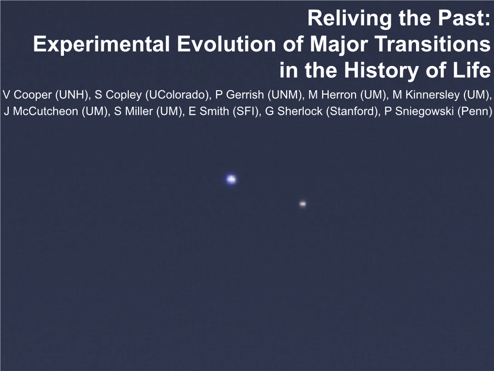 Reliving the Past: Experimental Evolution of Major Transitions in The