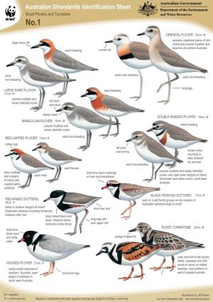 Australian Shorebirds Identification Sheet Department of the Environment Small Plovers and Turnstone and Water Resources No.1