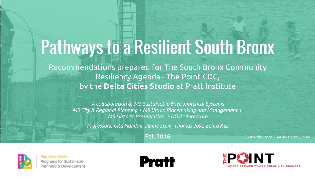 Pathways to a Resilient South Bronx