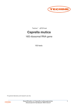Caprella Mutica 16S Ribosomal RNA Gene