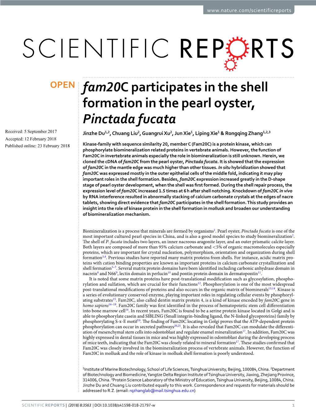 Fam20c Participates in the Shell Formation in the Pearl Oyster, Pinctada Fucata