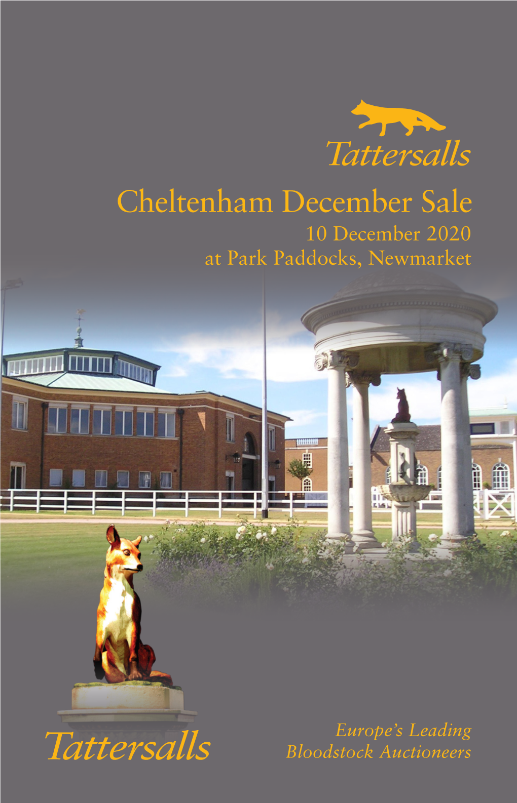 Cheltenham December Sale 10 December 2020 at Park Paddocks, Newmarket