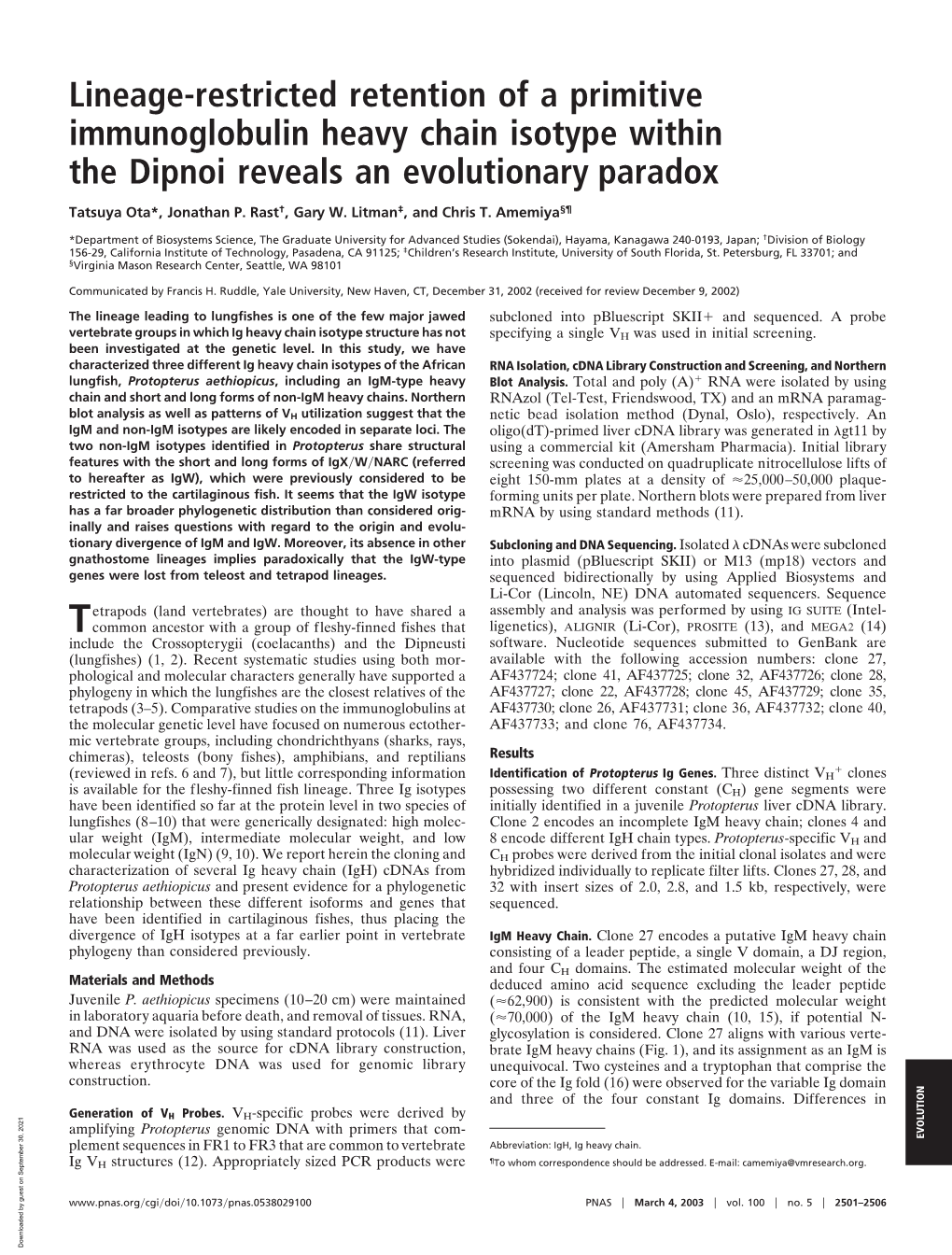 Lineage-Restricted Retention of a Primitive Immunoglobulin Heavy Chain Isotype Within the Dipnoi Reveals an Evolutionary Paradox