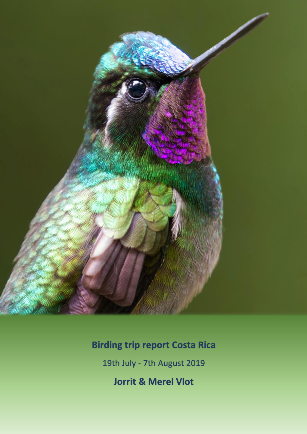 Birding Trip Report Costa Rica Jorrit & Merel Vlot