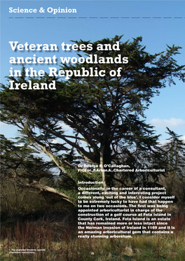 Veteran Trees and Ancient Woodlands in the Republic of Ireland