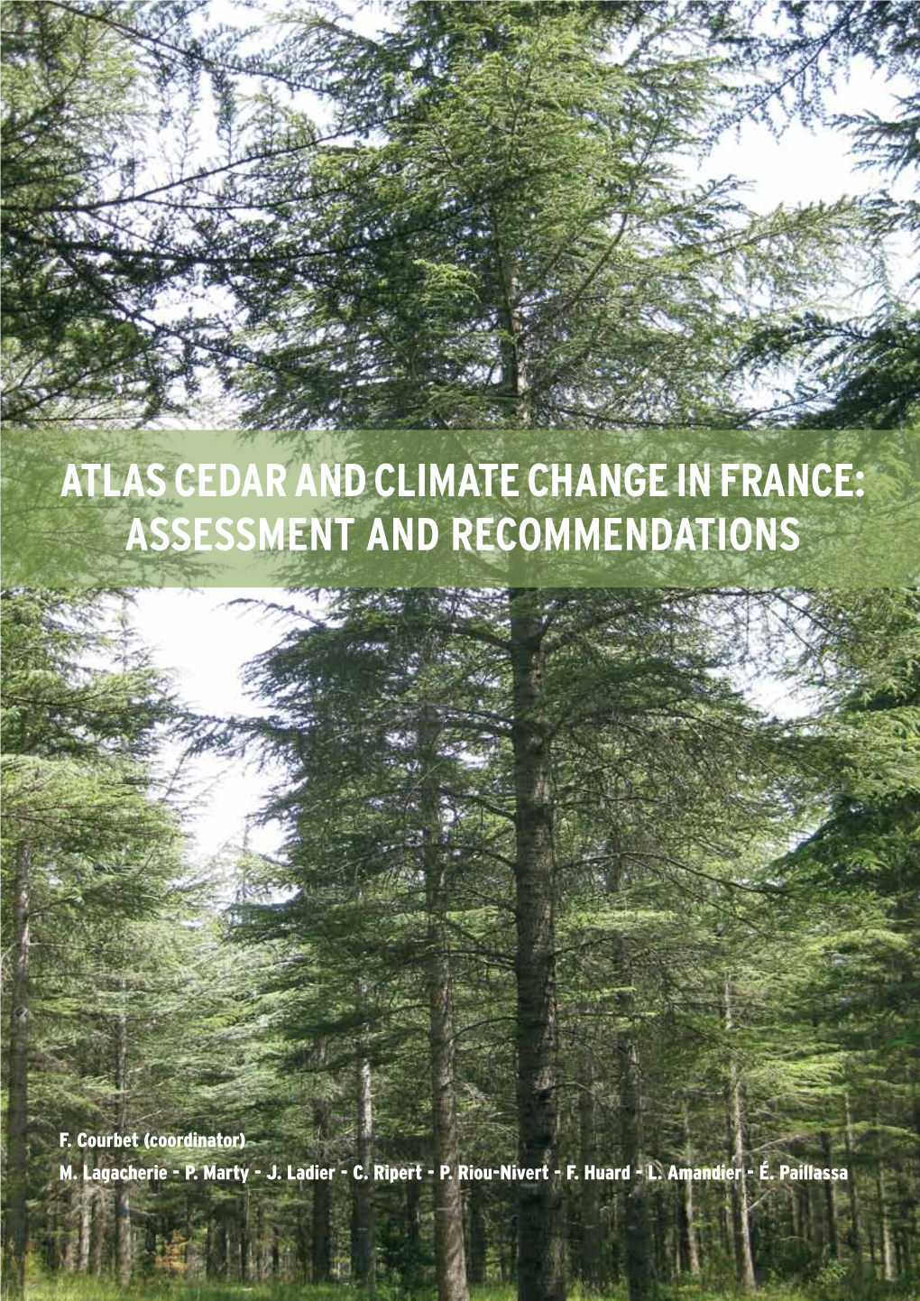 Atlas Cedar and Climate Change in FRANCE: Assessment and Recommendations
