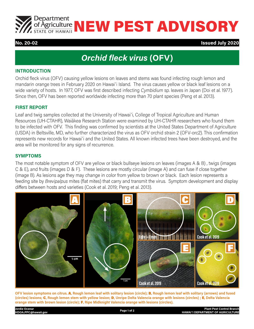 Orchid Fleck Virus (OFV)