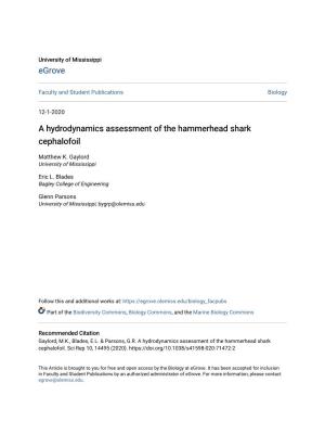 A Hydrodynamics Assessment of the Hammerhead Shark Cephalofoil