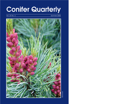Conifer Quarterly Vol