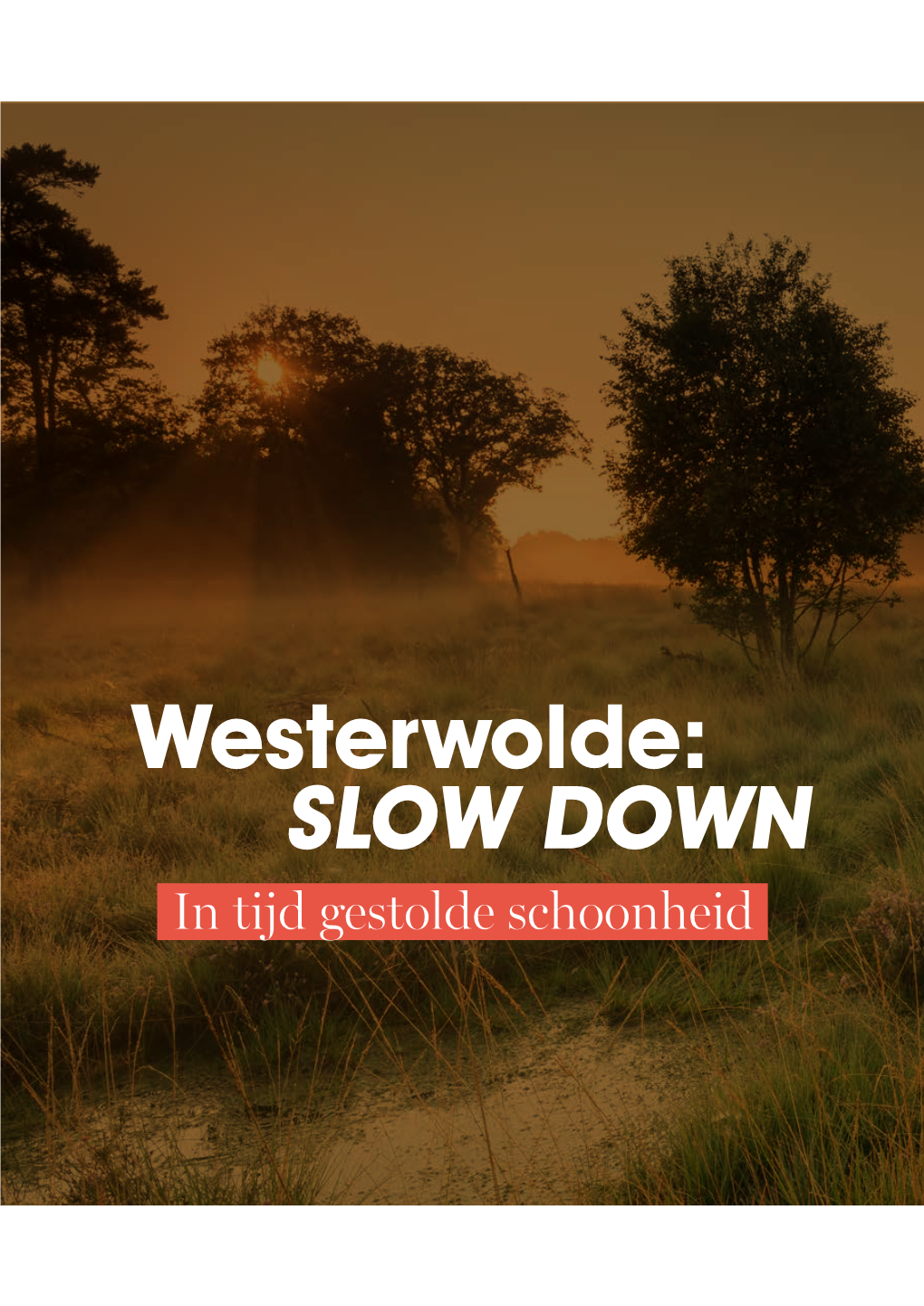 Westerwolde: SLOW DOWN in Tijd Gestolde Schoonheid ONTHAASTEN in WESTERWOLDE