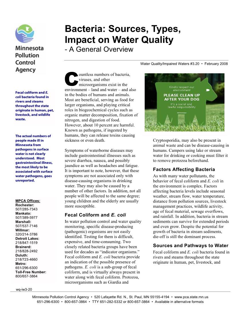 Bacteria: Sources, Types, Impact on Water Quality - a General Overview