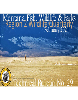 Region 2 Wildlife Quarterly February 2021