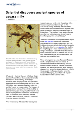 Scientist Discovers Ancient Species of Assassin Fly 21 April 2014