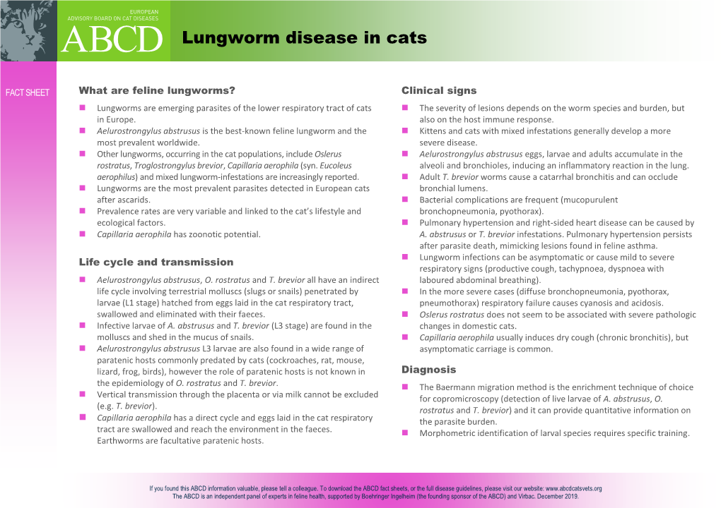 Lungworm Disease in Cats