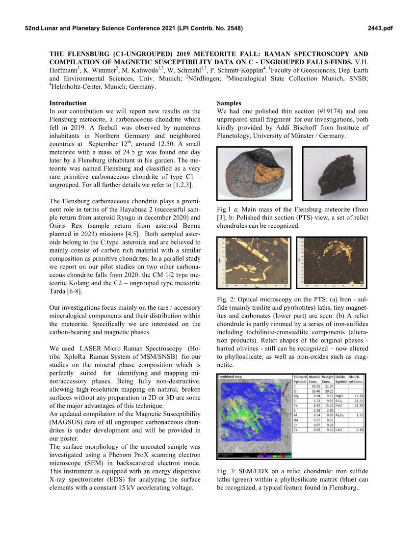 The Flensburg (C1-Ungrouped) 2019 Meteorite Fall: Raman Spectroscopy and Compilation of Magnetic Susceptibility Data on C - Ungrouped Falls/Finds