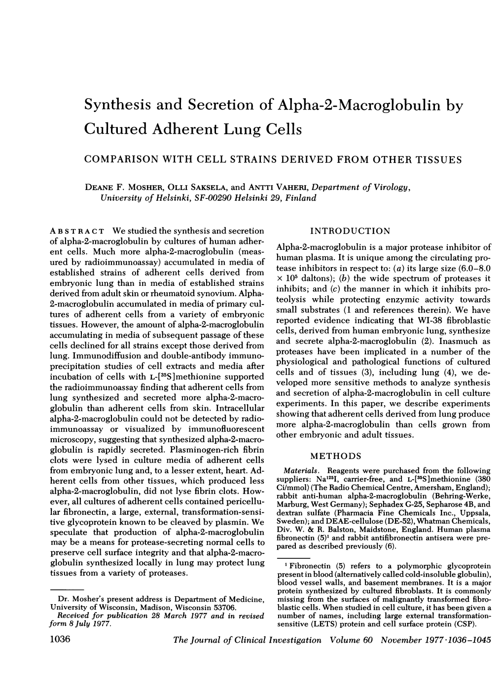 Synthesis and Secretion of Alpha-2-Macroglobulin by Cultured Adherent Lung Cells