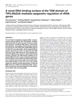 A Novel RNA Binding Surface of the TAM Domain Of