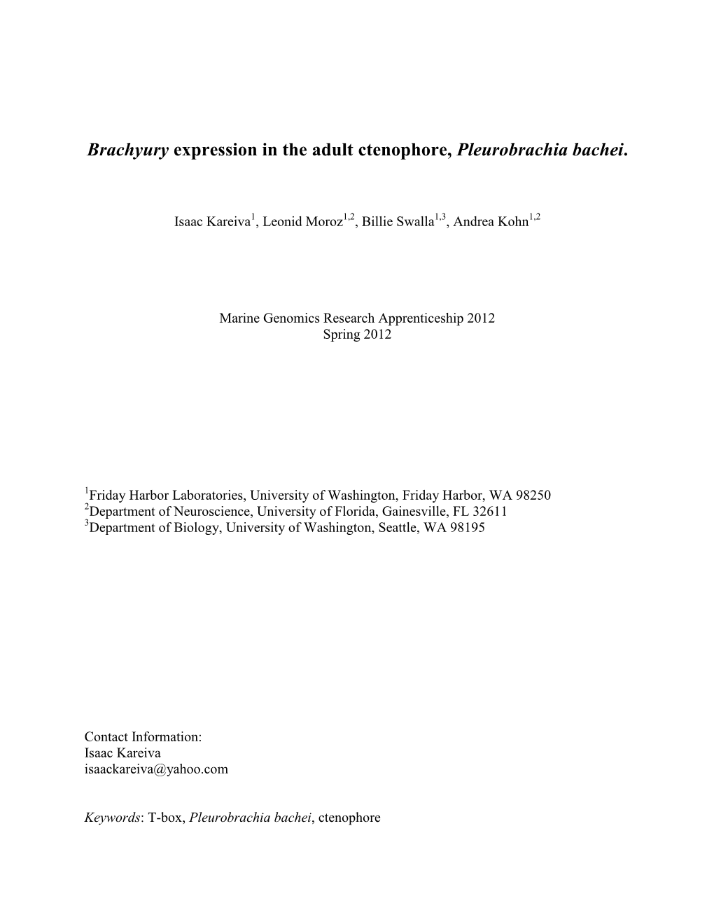 Brachyury Expression in the Adult Ctenophore, Pleurobrachia Bachei